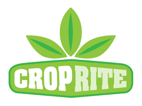 Design de Logo par Treehouse Collective pour ce projet | Design #282048