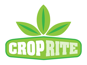 Logo Design by Treehouse Collective for this project | Design: #282048