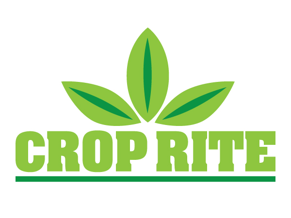 Design de Logo par Treehouse Collective pour ce projet | Design #282050