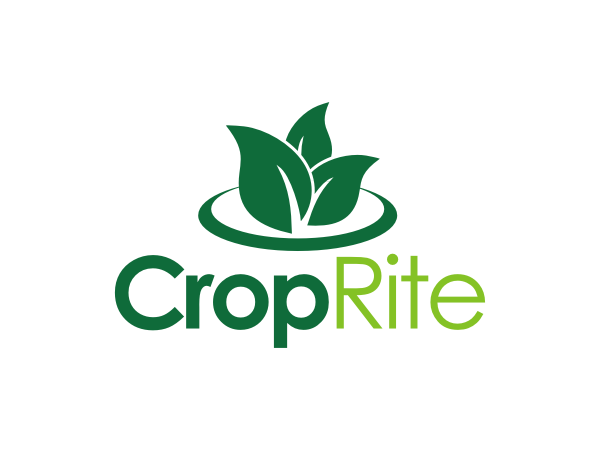 Logo-Design von lj-creative für dieses Projekt | Design #278348