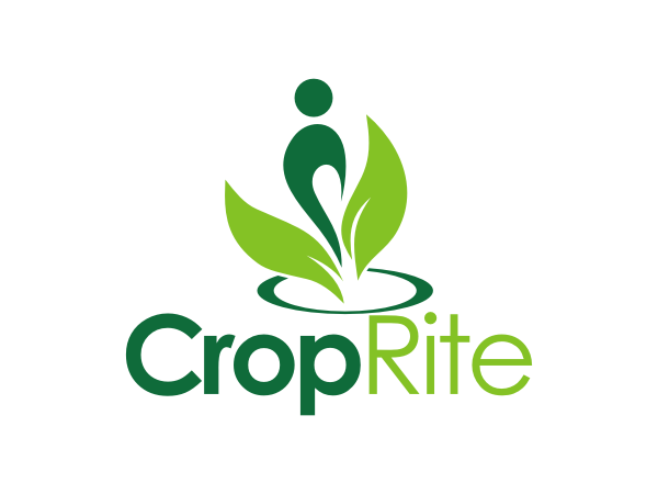 Design de Logo par lj-creative pour ce projet | Design #278352