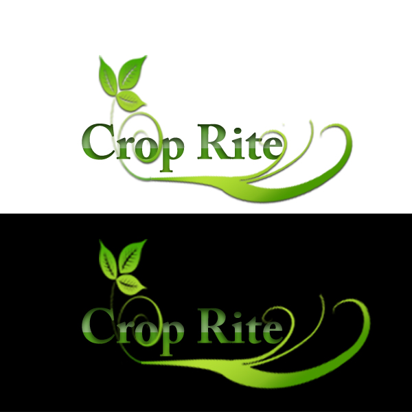Logo Design by Creative Star for this project | Design #265227