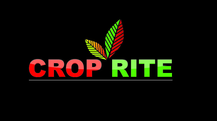 Design de Logo par MAS -A pour ce projet | Design #266593