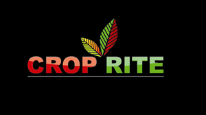 Design de Logo par MAS -A pour ce projet | Design : #266593