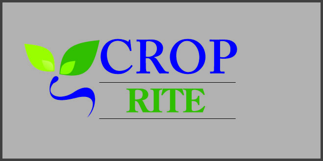 Design de Logo par MAS -A pour ce projet | Design #266594