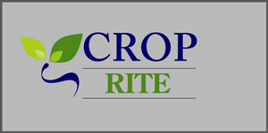 Design de Logo par MAS -A pour ce projet | Design : #266594