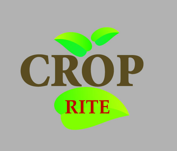 Design de Logo par MAS -A pour ce projet | Design #266595