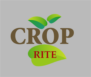 Design de Logo par MAS -A pour ce projet | Design : #266595