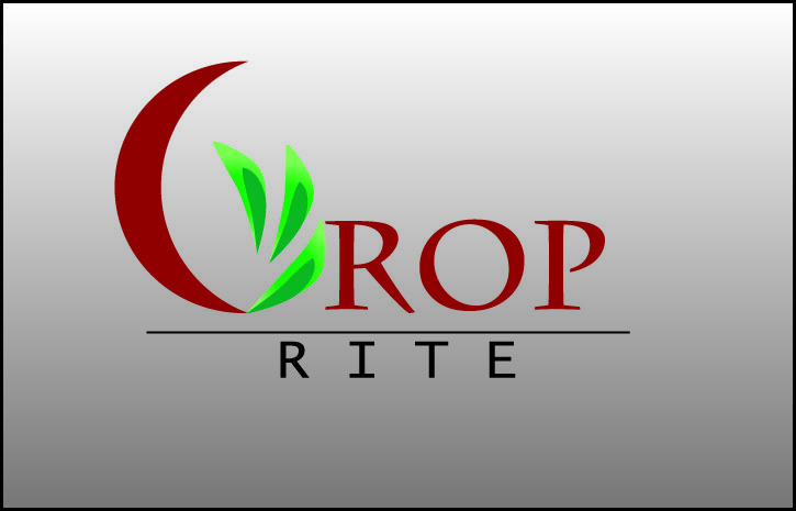 Design de Logo par MAS -A pour ce projet | Design #266596