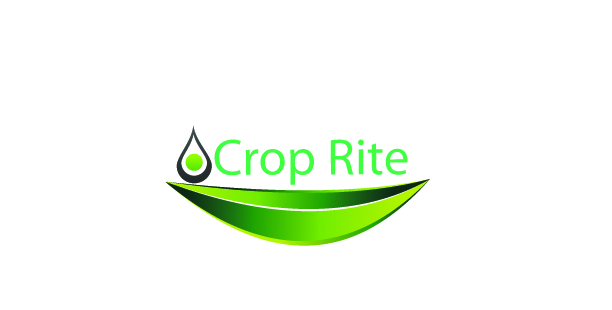 Logo Design by Asma Khan for this project | Design #265433
