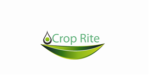 Logo Design by Asma Khan