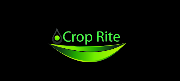 Design de Logo par Asma Khan pour ce projet | Design #265434