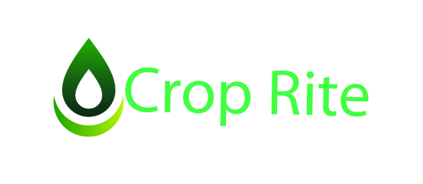 Design de Logo par Asma Khan pour ce projet | Design #265439