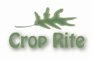 Logo Design by fahim