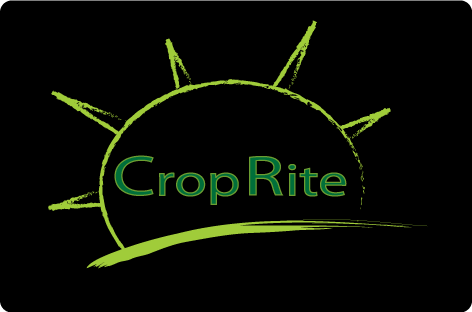 Design de Logo par fahim pour ce projet | Design #265568