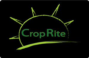 Design de Logo par fahim pour ce projet | Design : #265568