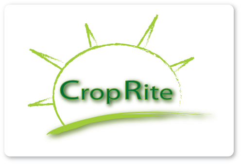 Design de Logo par fahim pour ce projet | Design #265569