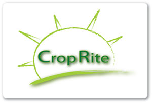 Design de Logo par fahim pour ce projet | Design : #265569