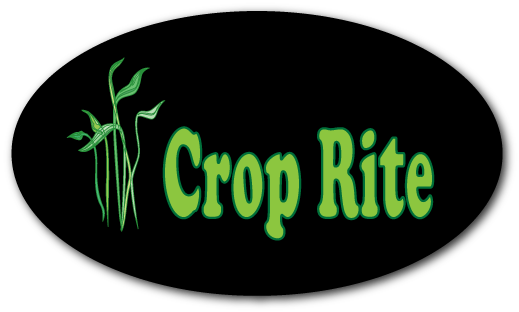 Design de Logo par fahim pour ce projet | Design #265571