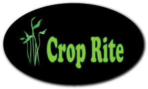 Design de Logo par fahim pour ce projet | Design : #265571