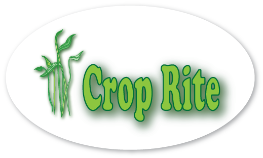 Design de Logo par fahim pour ce projet | Design #265572