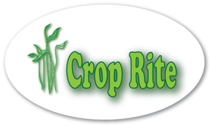 Design de Logo par fahim pour ce projet | Design : #265572