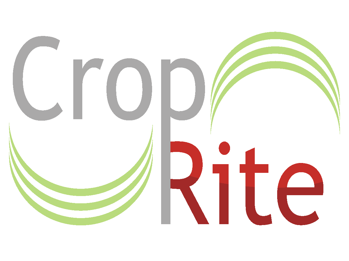 Logo-Design von Waqar Azeem  für dieses Projekt | Design #263639