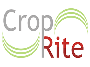 Logo Design by Waqar Azeem 