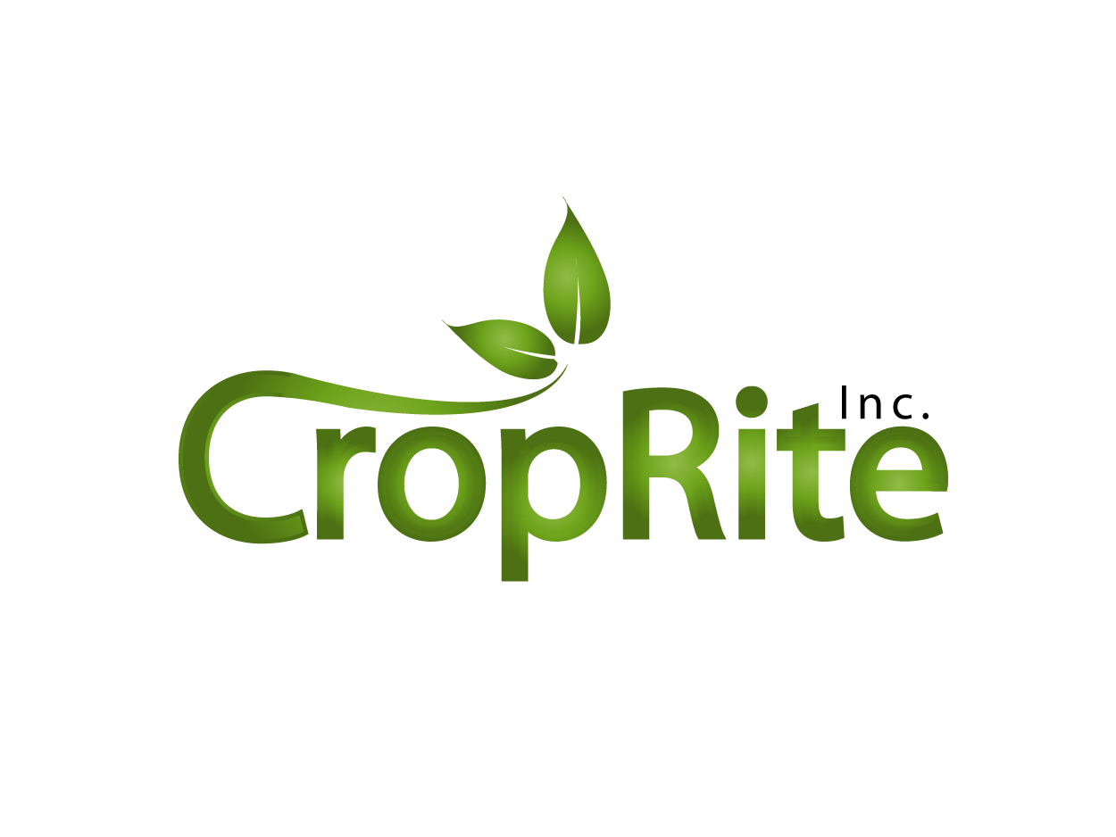 Design de Logo par troll pour ce projet | Design #267351