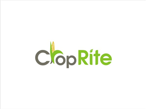 Logo Design by Logocraft for this project | Design: #258358