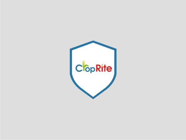 Logo-Design von Logocraft für dieses Projekt | Design #260338