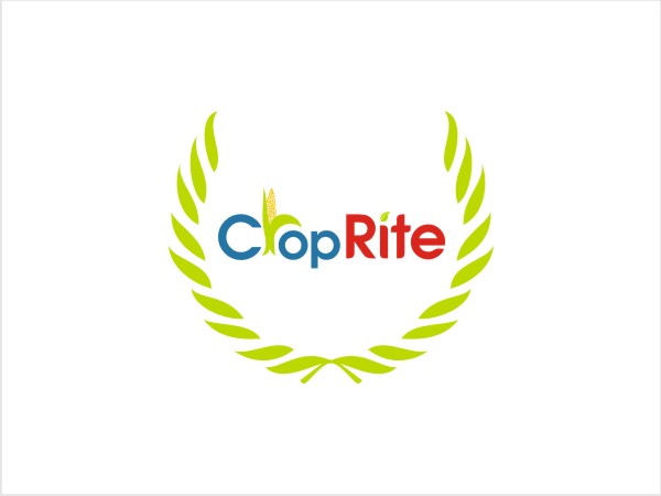 Logo Design by Logocraft for this project | Design #260347