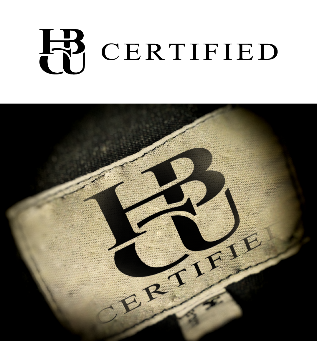 Logo Design by victipedia for Blazin'' | Design #5166711