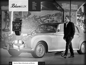 Diseño Web por Vebiz Solutions para BlumLux | Diseño #1468018