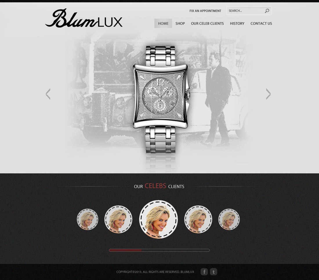 Web Design by UniqueDesignz for BlumLux | Design #1465702