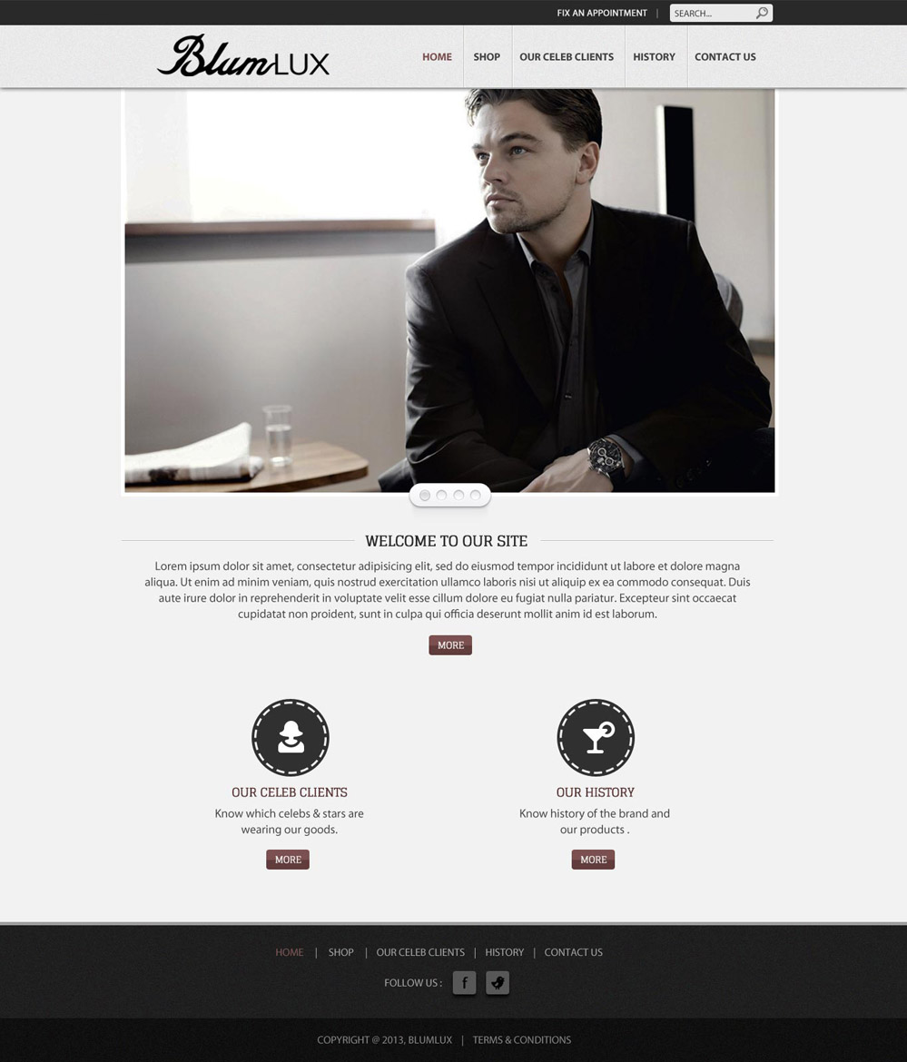 Web Design by UniqueDesignz for BlumLux | Design #1468439