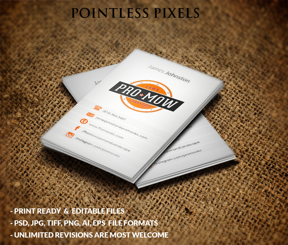 Business Card Design by Pointless Pixels India for this project | Design #5163537