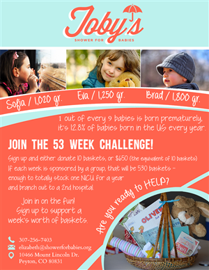 22 flyer designs baby flyer design project for elizabeth tolin baby contest flyer