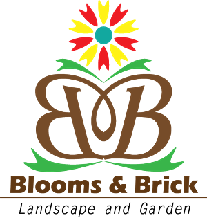 Logo Design by hussam7438