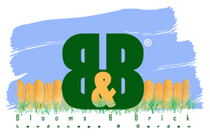 Logo Design by leader114