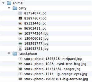 Diseño Gráfico por KT para este proyecto | Diseño: #1444877