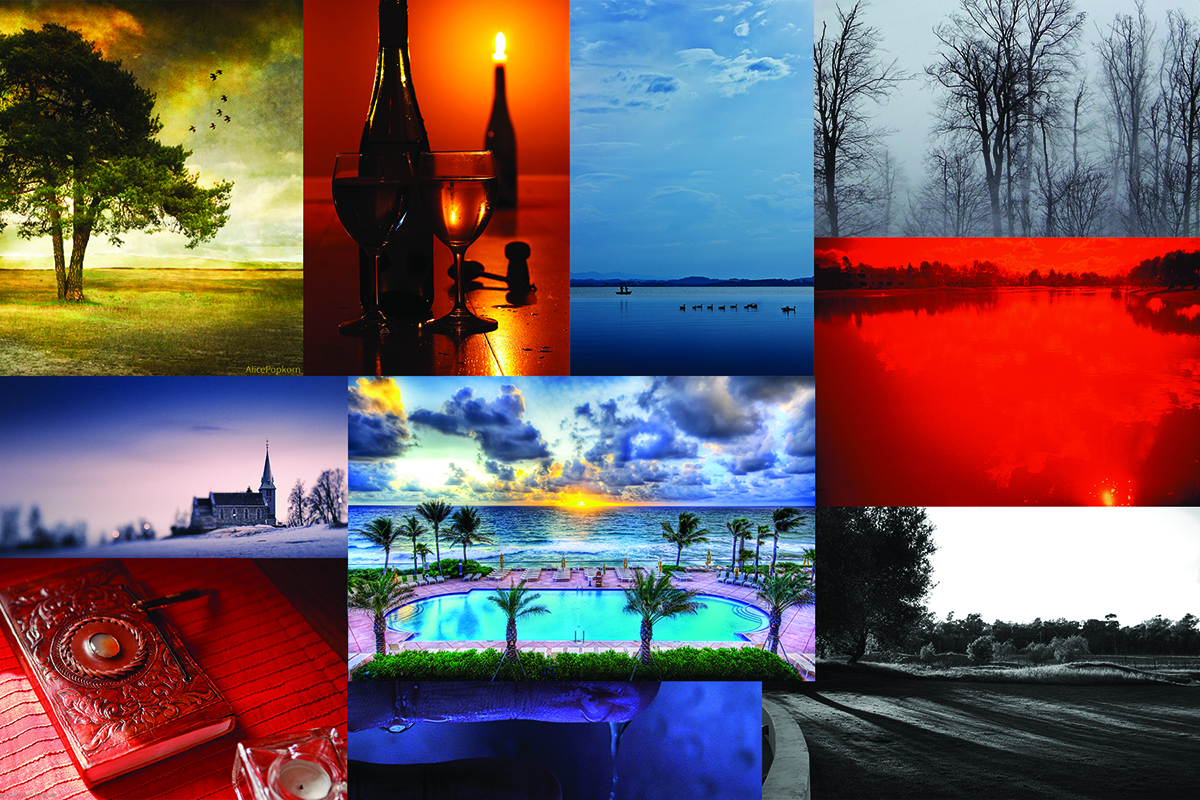 Design Graphique par PedroHenrique pour ce projet | Design #1446087