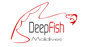 Logo Design by STA