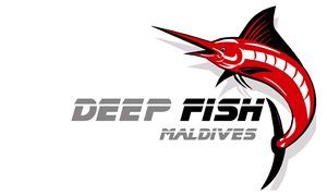 Logo Design by STA