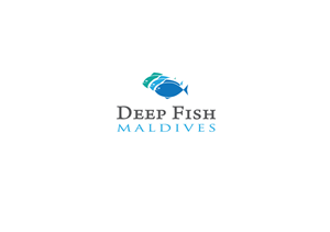 Logo Design by Bling Connect Ink for this project | Design: #1447522