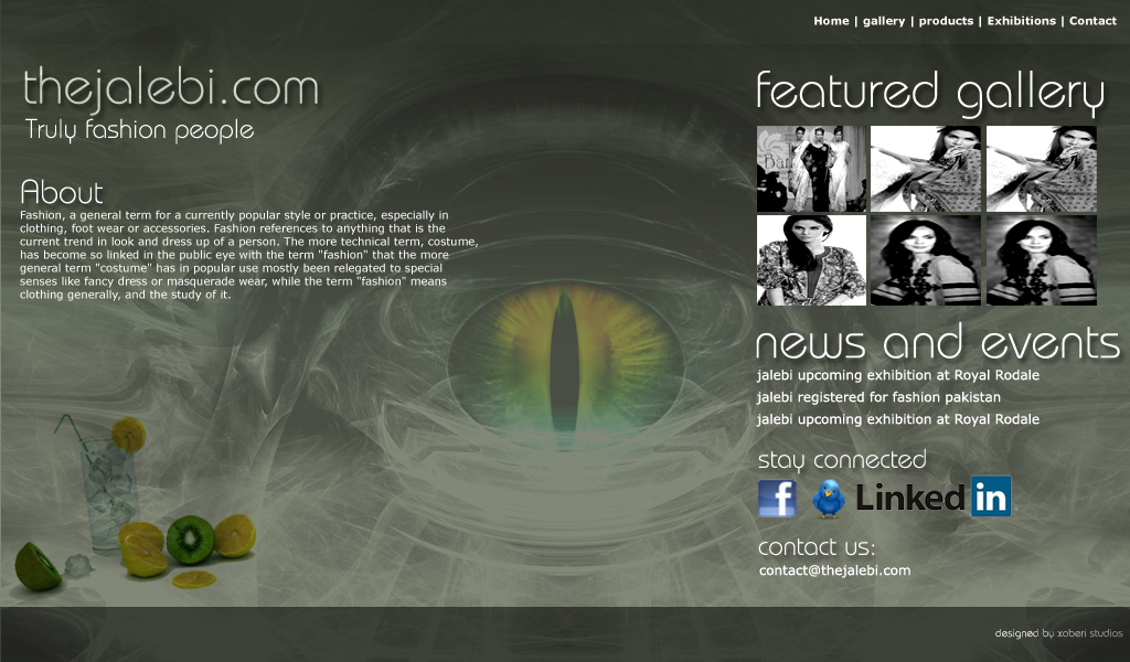 Diseño de Newsletter por xoberi para este proyecto | Diseño #259093