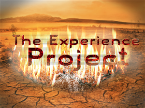 Graphic Design by Plus Ultra