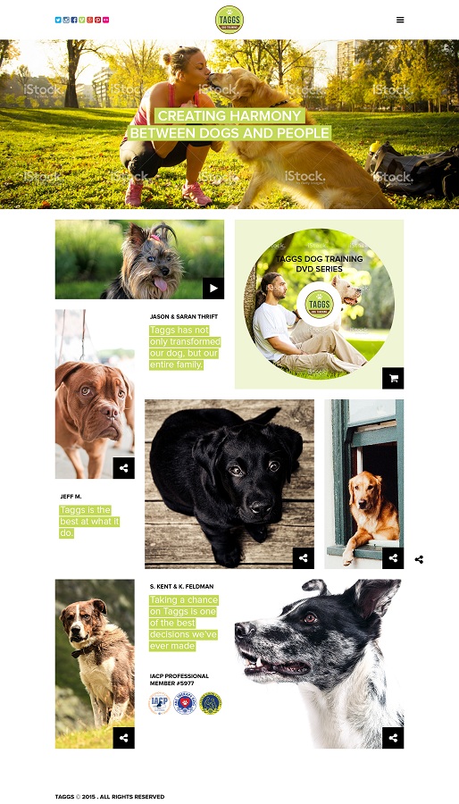Web-Design von lovelesh für ATCHER SERVICE LLC | Design #5333717