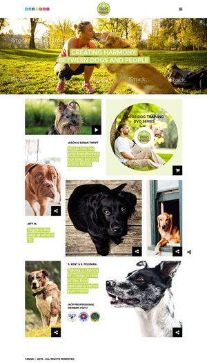 Web Design by lovelesh for ATCHER SERVICE LLC | Design #5333717