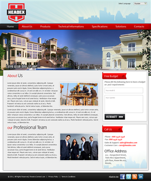Web Design by Expert Designer for this project | Design #267355